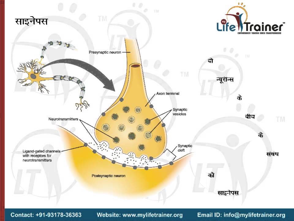 DMIT Training Programme (HINDI Version) - Module 1