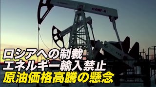 ロシア産エネルギーの輸入禁止 原油価格高騰の懸念