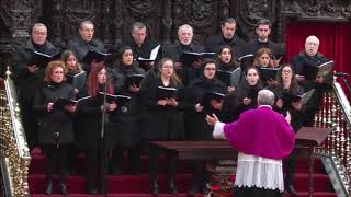 Ofertorio (Adviento) - Catedral de Córdoba