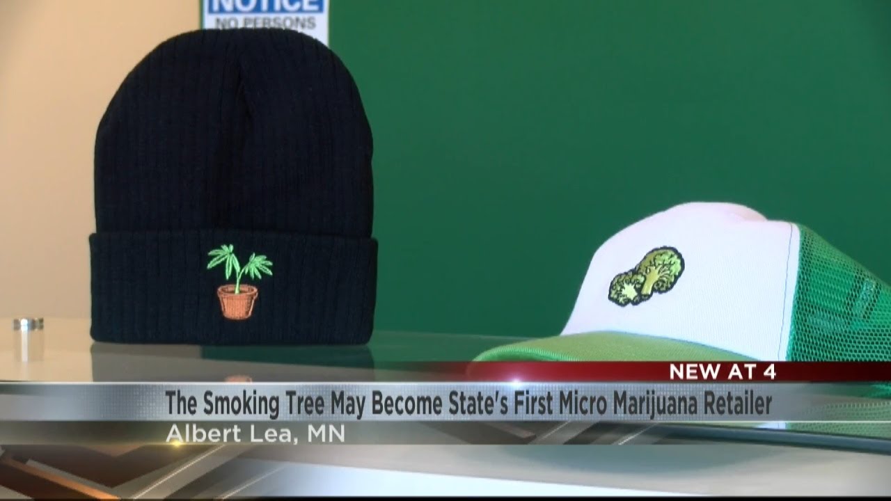 Albert Lea micro cannabis business may become state's first licensed retailer