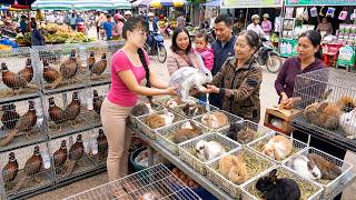 Harvesting Hundred of Rabbits & Pheasants and Bringing Go To Sell on Local Market screenshot 1