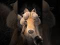POV: You Found a Forgotten Cartoon Character