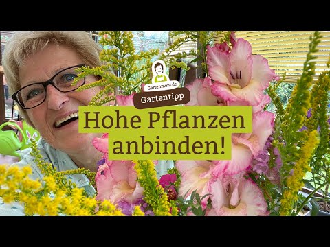 Video: Blumen-Peter - Lieferung Von Frischen Blumen, Rasensamen Und Pflanzen