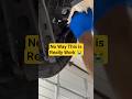 How to Properly Remove a Stuck Brake Rotor (The Professional Way)