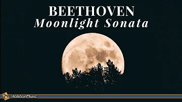 Beethoven - Moonlight Sonata | 2 Hours Classical Piano Music for Relaxation