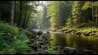 River Relaxation: Small Woodland Waterfall - All Night [4K]