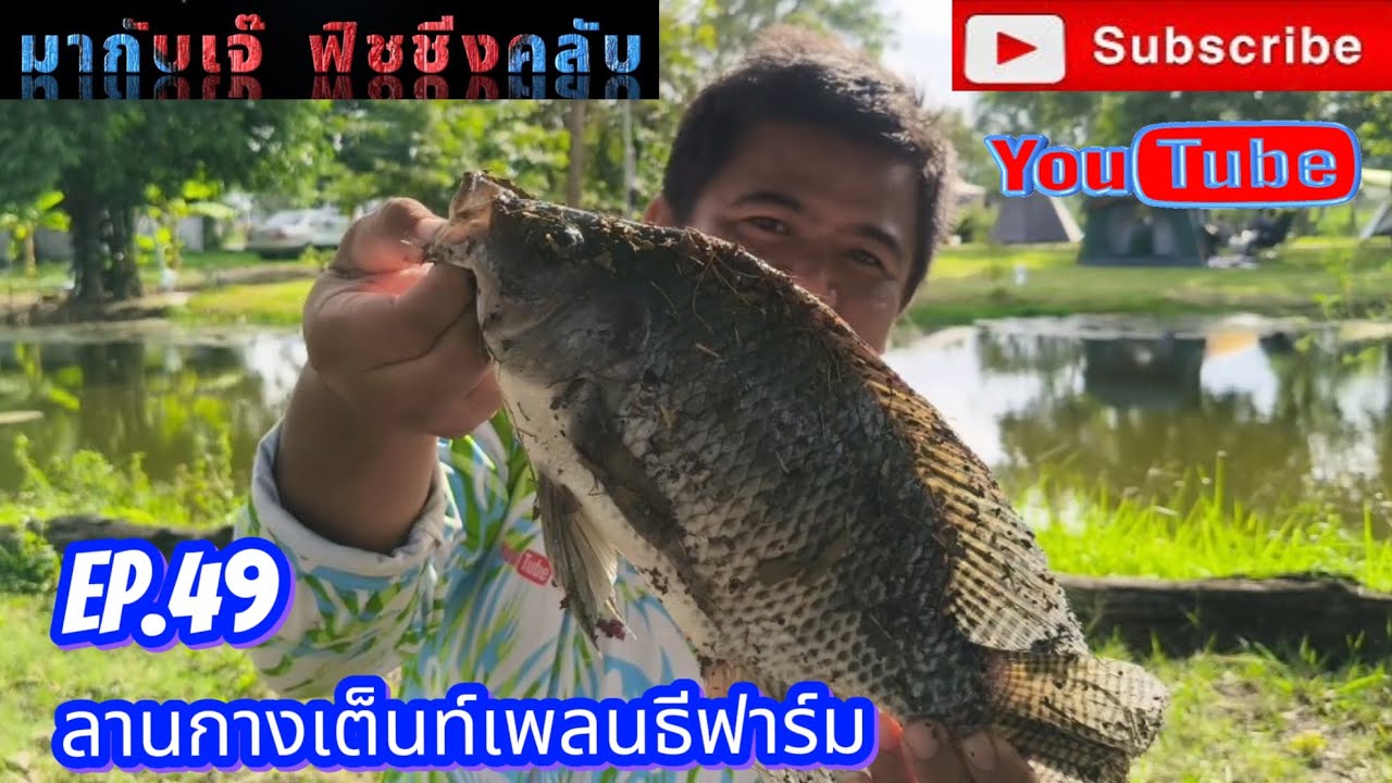 EP.49 ลานกางเต็นท์เพลนธีฟาร์ม