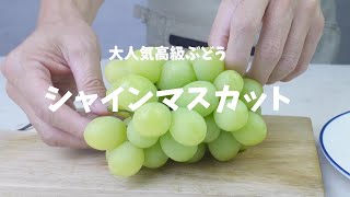 大人気高級ぶどう シャインマスカット 食べてみました how to grape