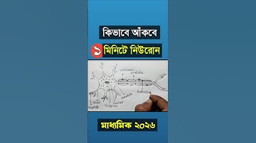 Madhyamik Life Science Suggestion 2026 #Shorts । Neuron Diagram ।