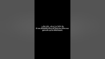 ما تيسر من سورة الحشر بصوت المقرئ شيخ ياسر الدوسري.