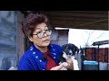 &#39;Come To Me, My Babies&#39;: Caring For Stray Dogs In Rural Uzbekistan