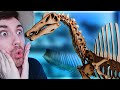  its massive building a spinosaurus wonder review