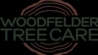 Woodfelder Tree Care - Manchester's most reliable tree surgeons