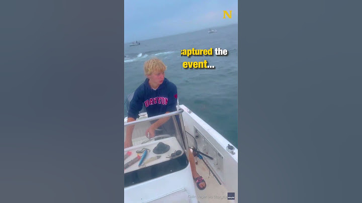 This whale had enough 😱