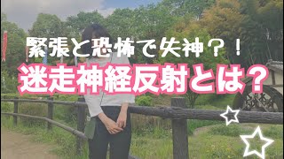 恐怖と緊張で倒れそう...!?【迷走神経反射】