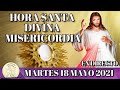 EN VIVO - HORA DE LA DIVINA MISERICORDIA -  MARTES 18 MAYO 2021