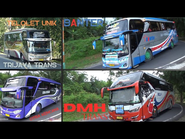 BUS TELOLET UNIK TRIJAYA TRANS, DMH TRANS, CITRA KENCANA, BANTER, NESS TRANS, ZEEFORA HOLIDAY class=