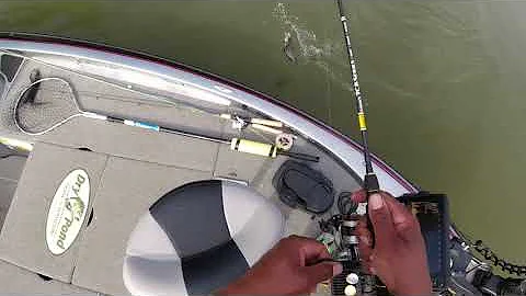 Crappie Fishing Lake Norman Area of North Carolina