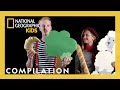 Unique Experiences and Challenges in Videos