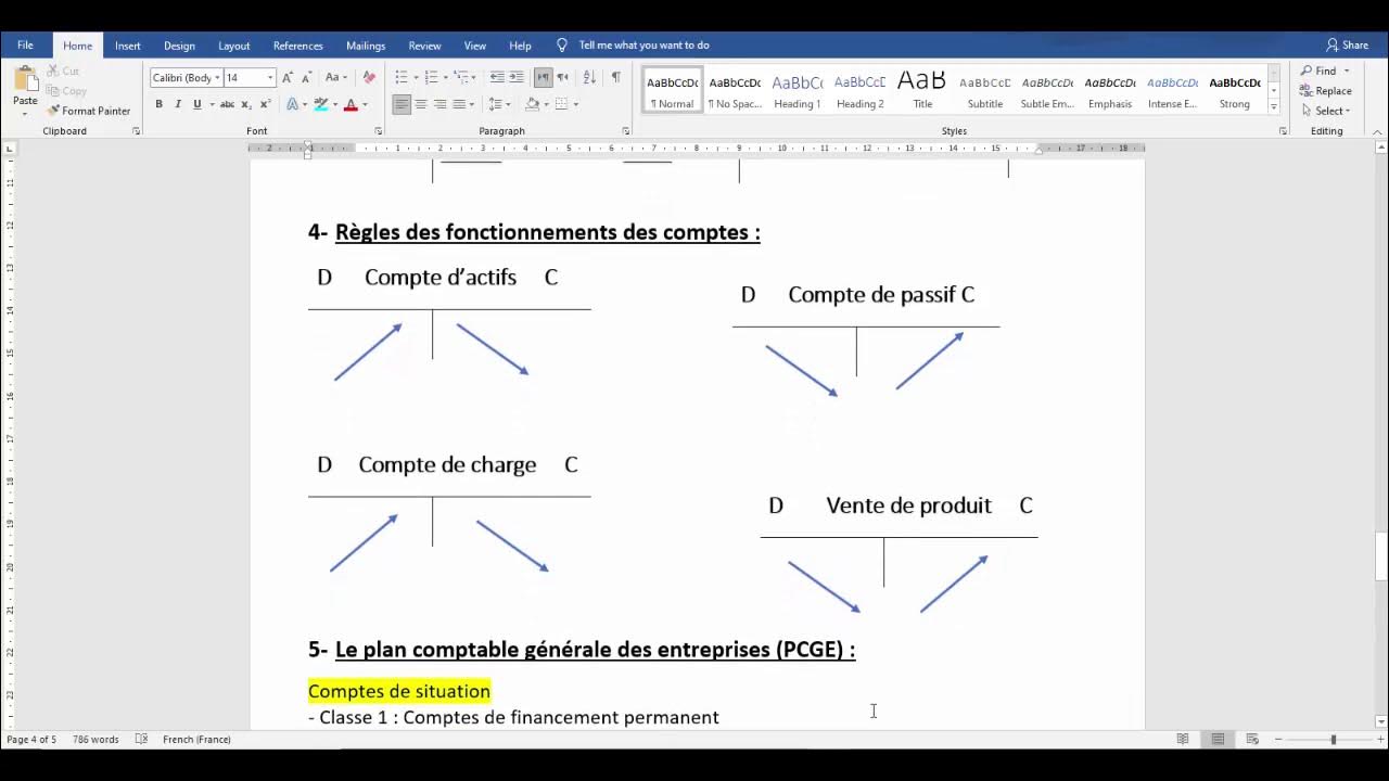 Le Compte Schématique, Le compte à colonne séparée, mariée. Le principe de la partie double