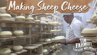 Sheep Cheese  Howto Make Sheep Cheese The Old Fashioned Way