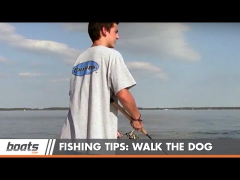 How to Fish: Walking the Dog - YouTube