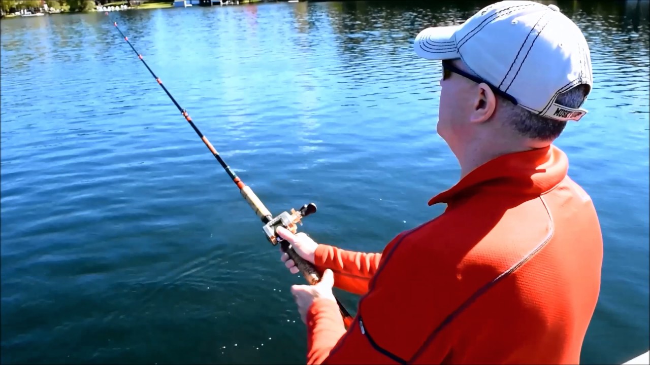 Bagley DB06 At The Musky Shop