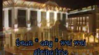 BEAN * ANY string duo, trio, quartet musicians for corporate  and  wedding  functions in malaysia