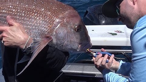 Big snapper on a blueblue slow pitch jig