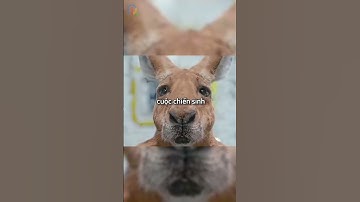 Người đàn ông bị bỏ rơi trên sao hoả cùng chú hươu con