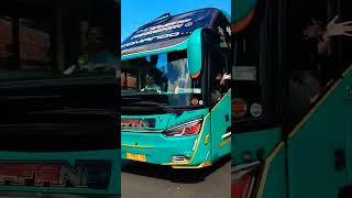 Download Lagu Telolet Senam Pinguin Bus SAFANA HOLIDAY (COMANDO) #busmania #basuri #telolet MP3