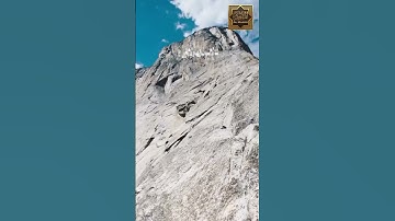 سورة الأعلى - القارئ سعد الغامدى