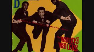 1. Im Gonna Put It On - Bob Marley (The Wailing Wailers)(VID