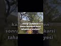 Rust Türkiye - Türkçe #reels #rust #rustgame #rustpvp #rustclips #rusttürkiye #rusttürkçe