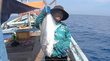 Tập 121: popping - jigging cá bè quỵt - popping jigging giant trevally fish 🇻🇳