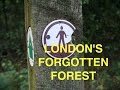 The Forgotten Forest of London