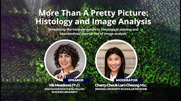 More Than A Pretty Picture Histology and Image Analysis