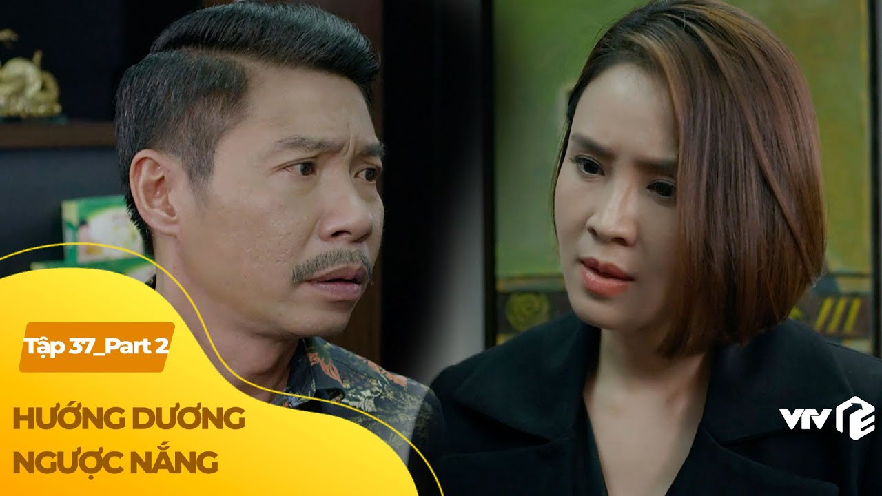 Hướng Dương Ngược Nắng tập 37 (2/3) | Tập đoàn phá sản khi đại tiểu thư bị lộ clip nóng