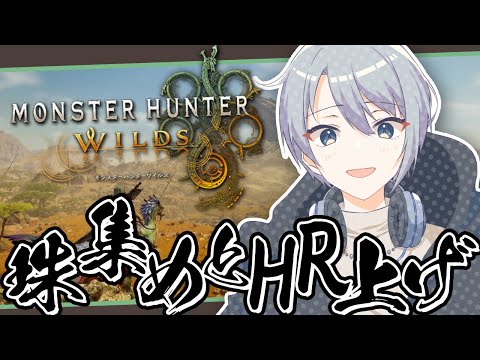 【#MHWs / 片手剣】珠厳選 HR77~【朝凪汐】
