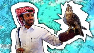 Saudi Prince Brings 80 Falcons On A Plane!