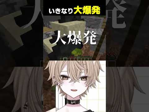 大爆発するポメラニアンVtuber #vtuber #新人vtuber #shortsの配信サムネイル