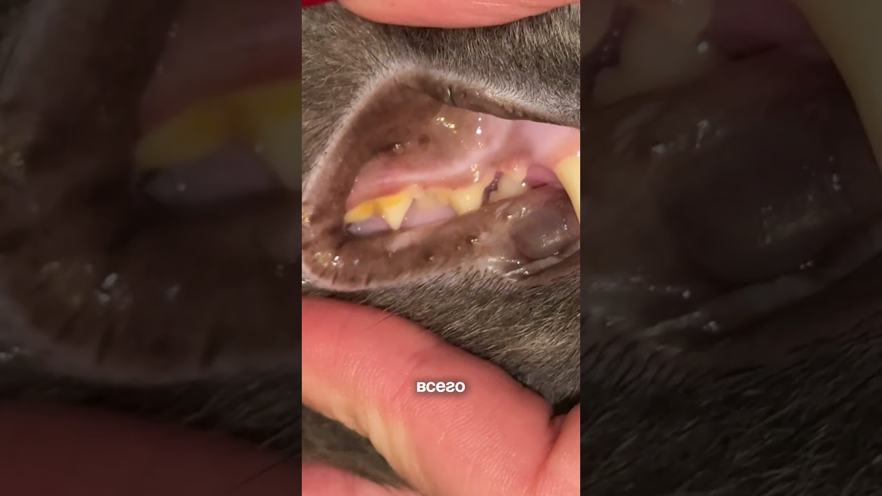 Мы пользуемся этим гелем 