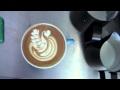 Latte art  swans birds the word