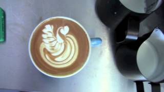 Latte Art - Swans Birds The Word