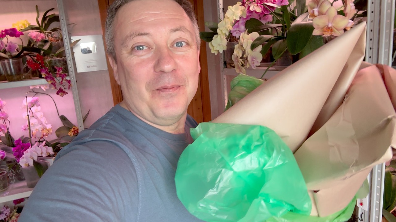 охота на орхидеи УДАЛАСЬ я в ВОСТОРГЕ // распаковка и обзор новых орхидей