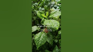 قران كريم طمأنيينة للقلوب"حالات واتس"حالات الجمعة#quran #foryou #اكسبلور #reels #quran #quranverses