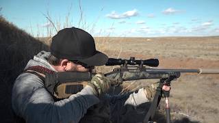 The Perfect handcalling video: Coyote and predator hunting