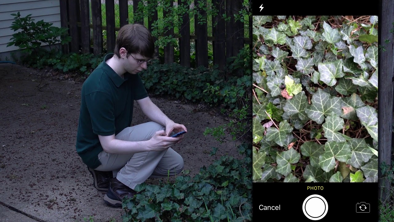 BackyardHacks: Backyard Buffet Demo (Andrew Dimmer, Nathan Dimmer)