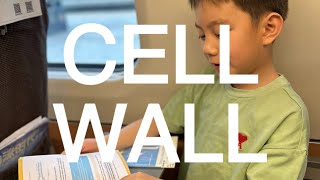 Cell Wall