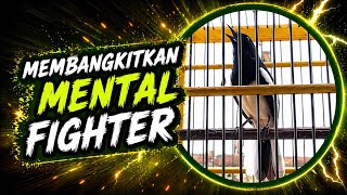 KACER GACOR DOR BANGKITKAN MENTAL FIGHTER